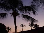 Sunset Bierchen - Lahaina, Maui