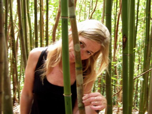 Bamboo & Hil - Waikamoi Ridge Trail, Eastside Maui