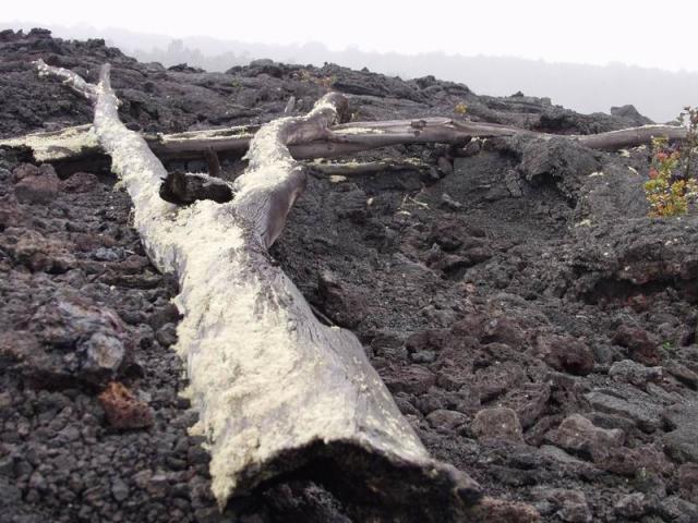 Tote Hose - Volcano Kilauea, Big Island