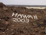 Koralle auf Lawa - Grafitti on Highway, Big Island