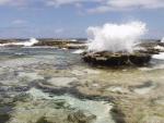 Blow Holes - Keleti Beach, Tongatapu