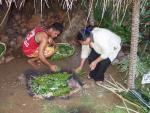 Ab in den Erdofen - 'Umu' Essen an Silvester, Heilala Lodge, Tongatapu