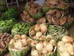 Bananas & Coconuts -  Market Place of Nukua'lofa, Tonga