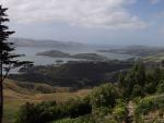 Island View - Otago Peninsula, South NZ