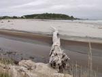 In front of the Seal Colony - Cape Faulwind, West Coast South NZ