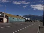 Dolphins on the wall - Kaikoura, East Coast, South NZ