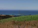 Green & Blue - Coastal Otago, South NZ