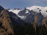Franz Josef Glacier - Westland Glacier Country, South NZ