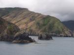 Welcome to the South - Marlborough Sounds, South NZ