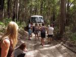 Kingfisher Eco Tour - Fraser Island, East Coast Queensland, OZ