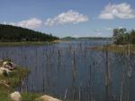 Lake Tinaroo -  Atherton Tableland, Tropical Queensland, OZ