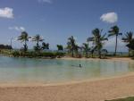 Lagoon Pool - Airlie Beach, East Coast Queensland, OZ