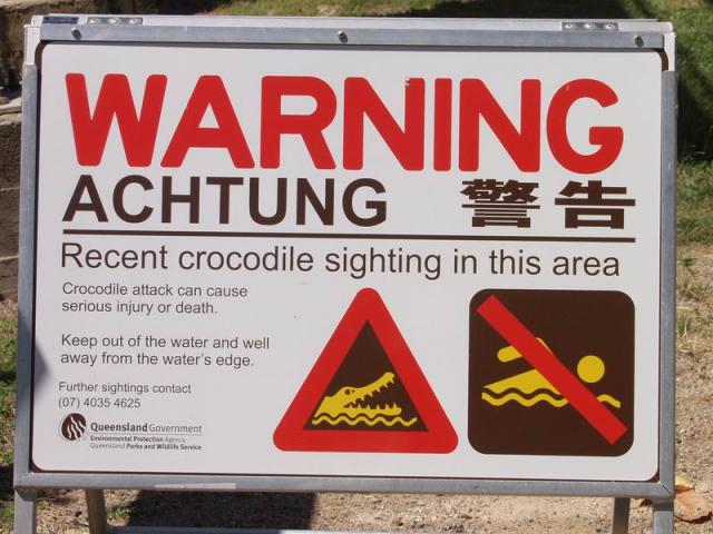 Crocodile Area - Cardwell, East Coast Queensland, OZ