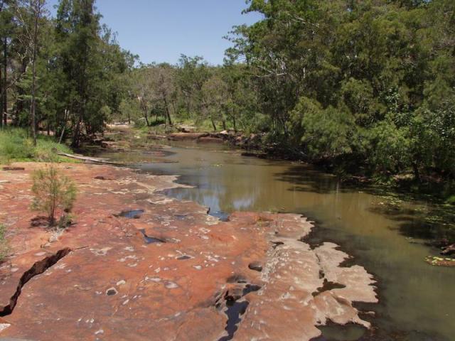 Barron River -  Atherton Tableland, Tropical Queensland, OZ