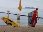 Lifeguard with Stinger Net  - Palm Cove, Queensland, OZ