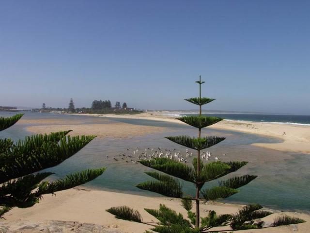 Lagoon - The Entrance, New South Wales, OZ