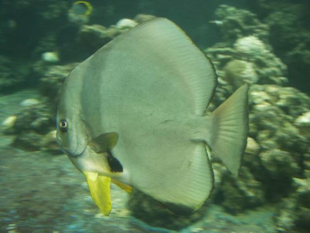 In the element - Oceanographic  Institute of Nha Trang, Southern Vietnam