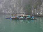Small fishing village - Halong Bay, Gulf of Tonkin, Northeast Vietnam