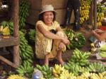 Selling bananas - Central market, Hoi An, Central Vietnam