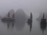 Peaceful cruising Dragon Boats - Halong Bay, Gulf of Tonkin, Northeast Vietnam