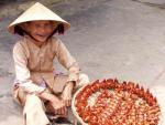 Only five Dollar - Old Town Hoi An, Central Vietnam