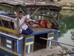 Children on fishing boat - Thu Bon River, Hoi An, Central Vietnam