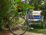 Rikscha for hire - Panviman Resort, Klong Prao Beach, Koh Chang, Thailand