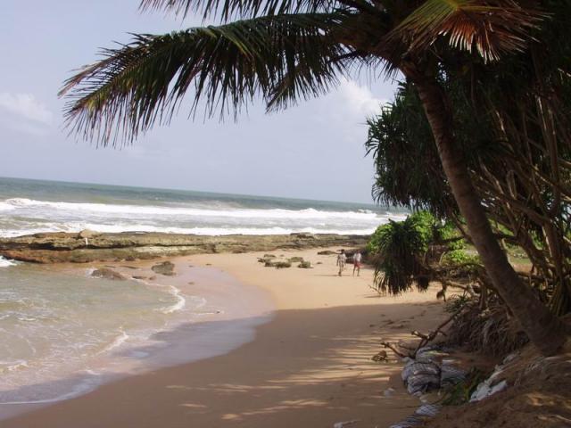 Turtles beach - Kosgada, Western Province Sri Lanka