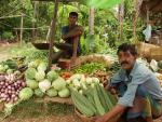 Vegetables sellers - Alutgama market, Beruwala, Sri Lanka