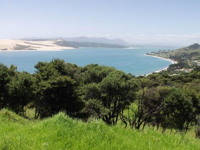 Hokianga Harbour - Omapere, NZ Northland