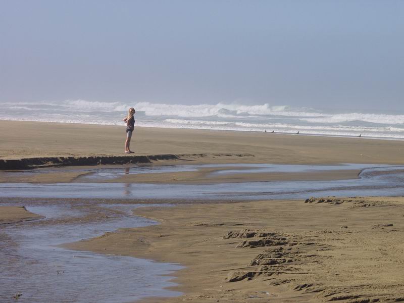 Long Beach Omamari - NZ Northland