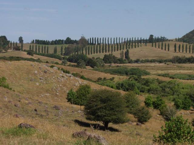 Toscana in Neuseeland -  NZ Northland