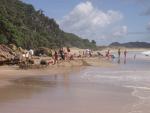 Digging hot pools - Hot Water Beach, Coromandel East, NZ