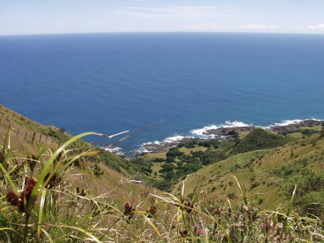 Cape Runaway -  East Cape, North NZ