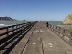 Crumbling into the sea - Tolaga Bay Wharf, East Cape, North NZ