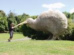 Riesenkiwi mit Anhang -  Te Puke, South Coromandel, NZ