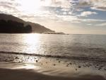 Stay one night - Whanarua Bay, East Cape, North NZ