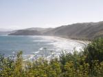 Whale Rider Beach - Whangara, East Cape, North NZ