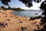 Palm Cove Beach - Sydney, New South Wales, Australia