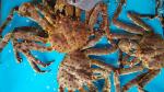 Yummy - Crabs for lunch, Boat quay, Singapore