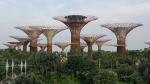 Sky Trees - Gardens by the Bay, Singapore