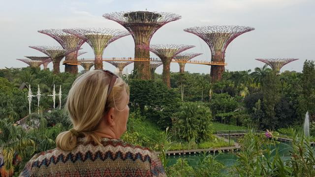 Supertree Grove - Gardens by the Bay, Singapore