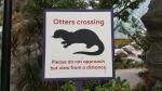 Otters crossing - Gardens by the bay, Singapore