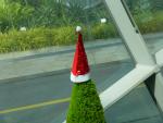 Santa is comming - Flower Dome, Gardens by the Bay, Singapore