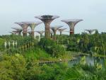 Supertree Groove - Gardens by the bay, Singapore