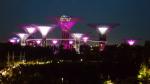 Bright trees - Supertree Grooves, Gardens by the Bay, Singapore