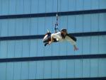 Flying Artist from Arcadia - City of Perth, Western Australia