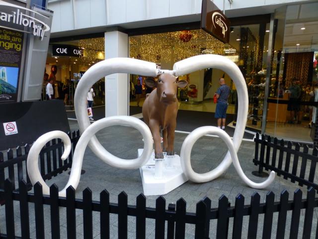 Cow Parade 2 - Perth, Western Australia