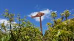  fish in the sky - Janes railway carriage, Torbay, Albany, Southwest Australia