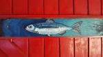 fish picture - Janes railway carriage, Torbay, Albany, Southwest Australia